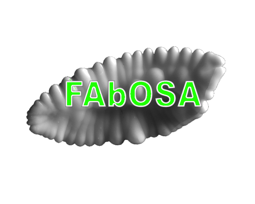 FABOSA
